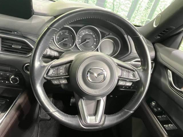 Mazda CX-8 2018-09 17426-12