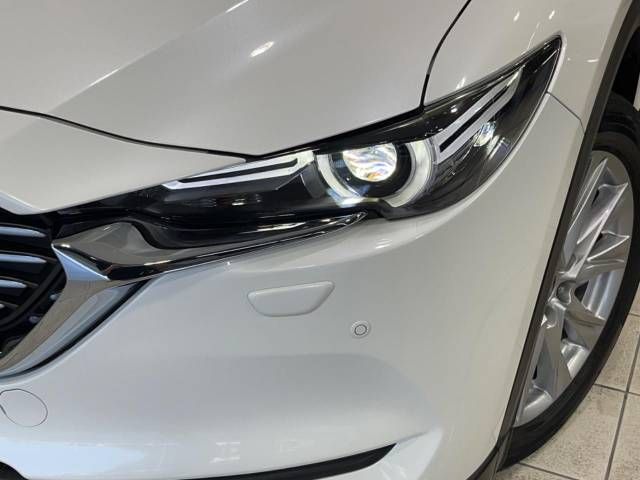 Mazda CX-8 2018-09 17426-13