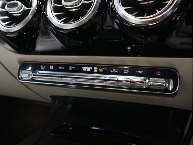 Mercedes Benz A-CLASS 2020-09 19269-24