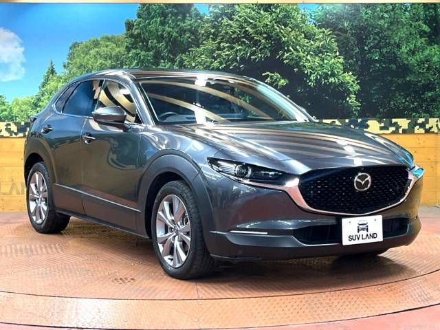 Mazda CX-30 2019-09 20087-16