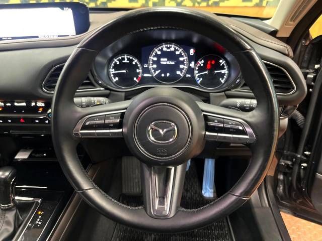 Mazda CX-30 2019-09 20087-11