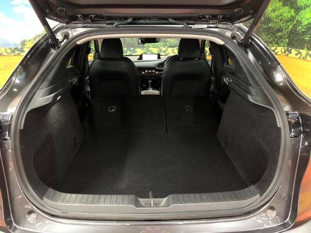Mazda CX-30 2019-09 20087-10