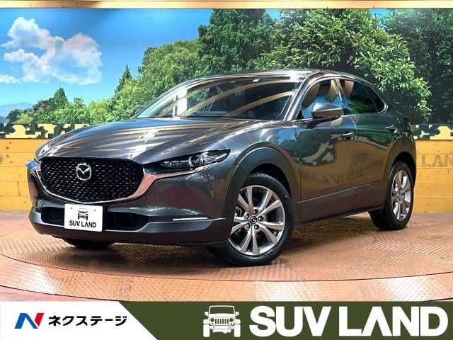 Mazda CX-30 2019-09 20087-0