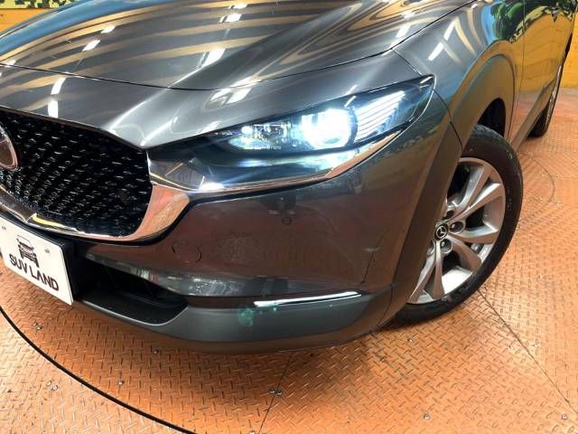 Mazda CX-30 2019-09 20087-12