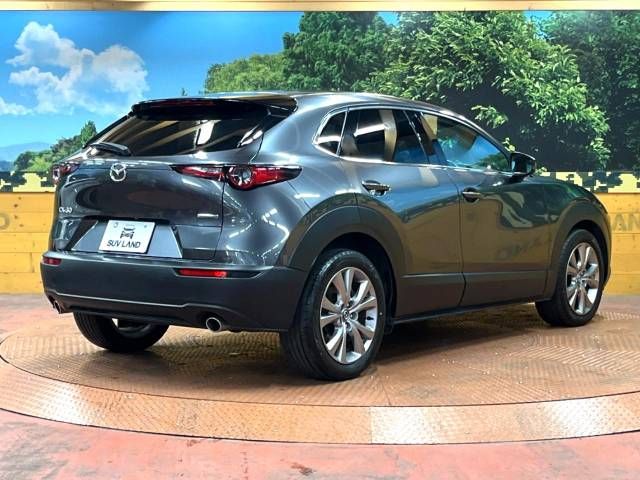 Mazda CX-30 2019-09 20087-17