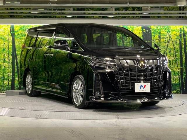 Toyota ALPHARD 2020-11 195637-16
