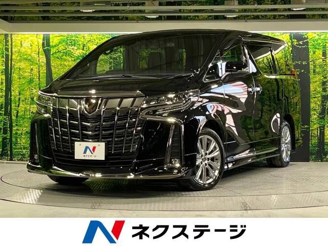 Toyota ALPHARD 2020-11 195637-0