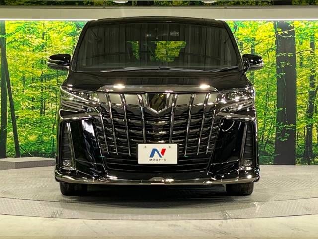 Toyota ALPHARD 2020-11 195637-14