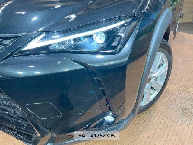 Lexus UX 2020-11 210061-12