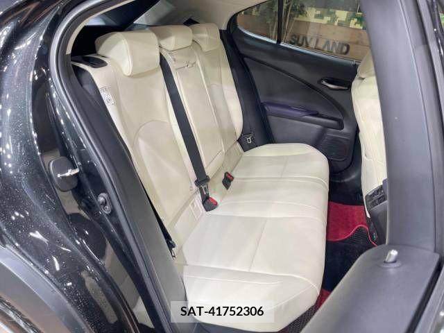 Lexus UX 2020-11 210061-10