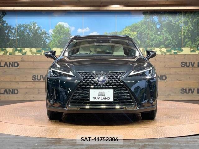 Lexus UX 2020-11 210061-14
