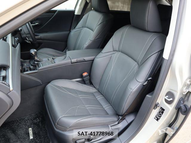 Lexus ES 2019-06 300393-9
