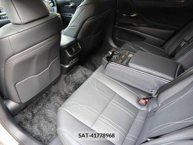 Lexus ES 2019-06 300393-11