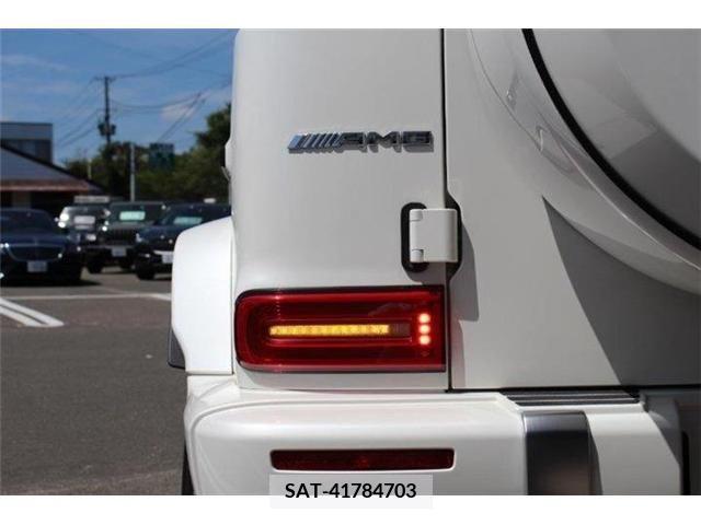 Amg G-CLASS 2020-11 203062-12