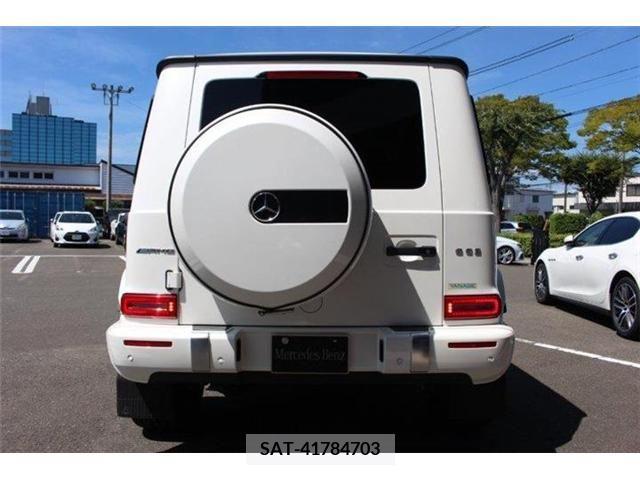 Amg G-CLASS 2020-11 203062-10