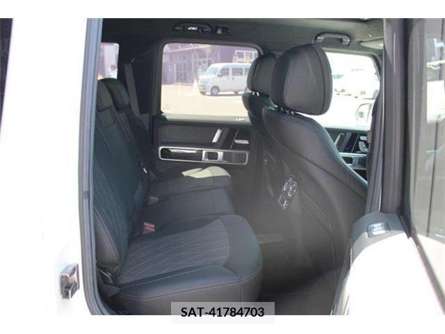 Amg G-CLASS 2020-11 203062-5