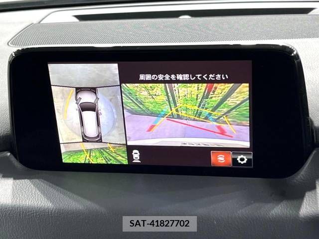 Mazda CX-8 2018-10 209025-3