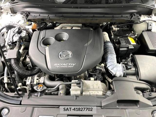 Mazda CX-8 2018-10 209025-18