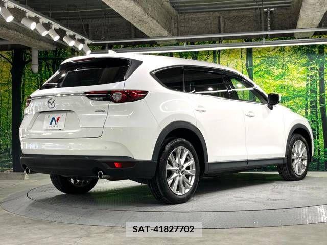 Mazda CX-8 2018-10 209025-17