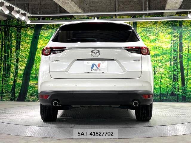Mazda CX-8 2018-10 209025-15