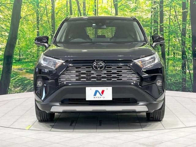 Toyota RAV4 2019-04 15308-14