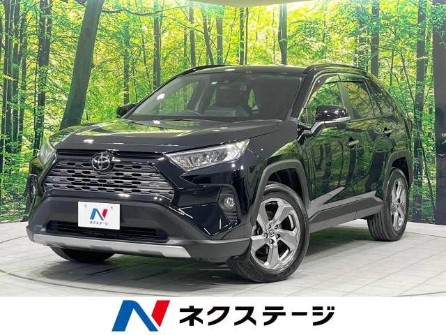 Toyota RAV4 2019-04 15308-0