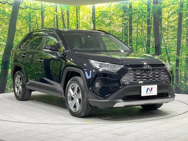 Toyota RAV4 2019-04 15308-16