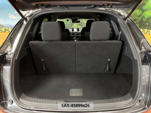 Mazda CX-8 2018-02 390275-11