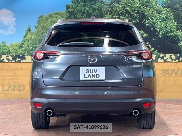 Mazda CX-8 2018-02 390275-16