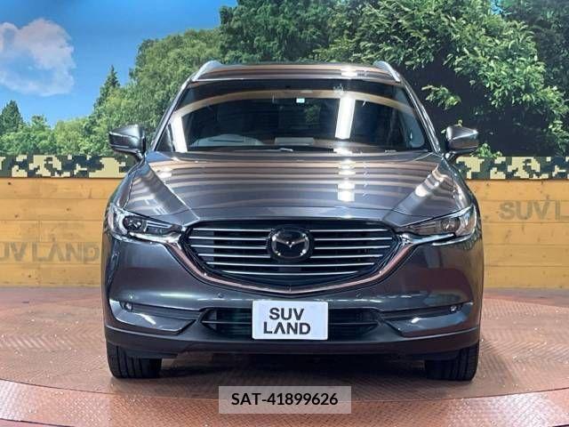 Mazda CX-8 2018-02 390275-15