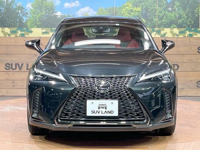 Lexus UX 2019-03 193625-14