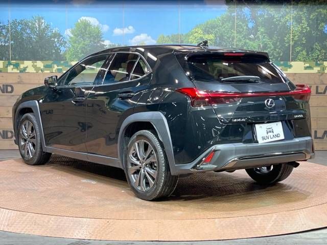 Lexus UX 2019-03 193625-17