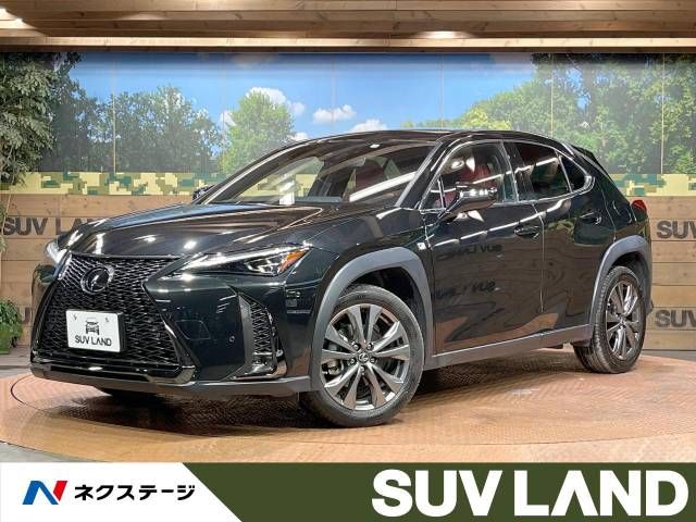 Lexus UX 2019-03 193625-0