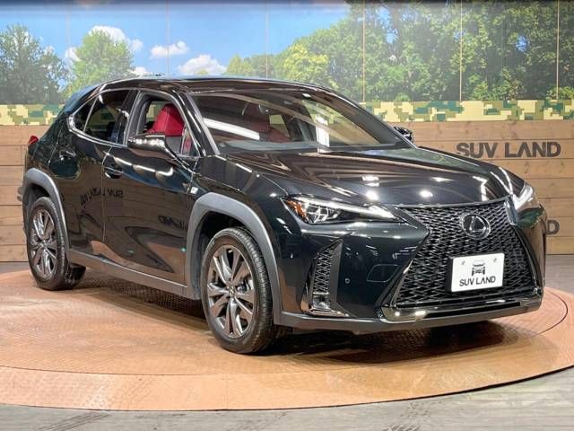 Lexus UX 2019-03 193625-16