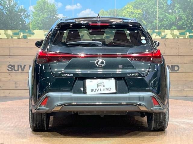 Lexus UX 2019-03 193625-15