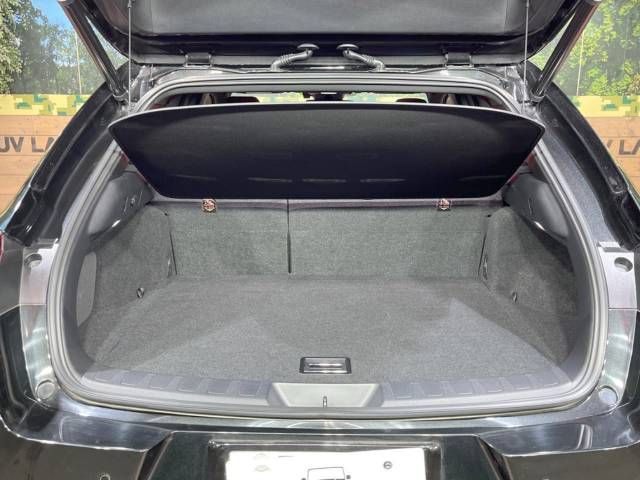 Lexus UX 2019-03 193625-11