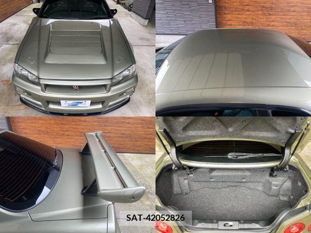 Nissan SKYLINE GT-R 1999-04 223850-14