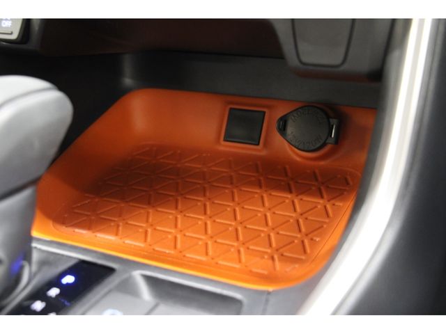 Toyota RAV4 2019-06 9603-8
