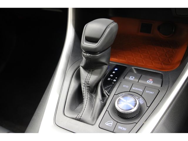 Toyota RAV4 2019-06 9603-4
