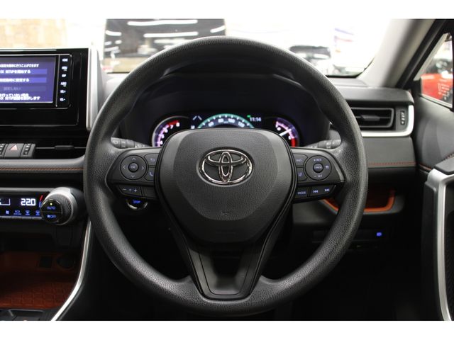 Toyota RAV4 2019-06 9603-13