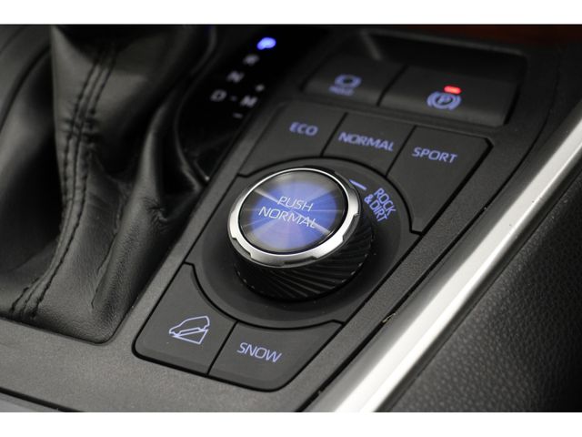 Toyota RAV4 2019-06 9603-9