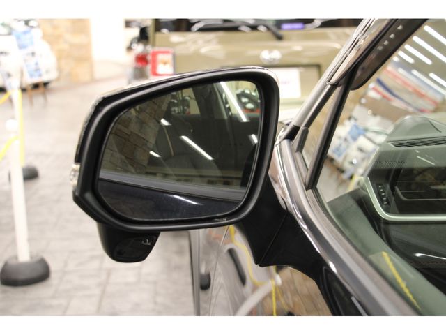Toyota RAV4 2019-06 9603-21
