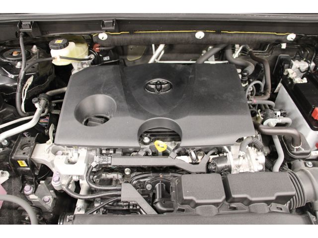 Toyota RAV4 2019-06 9603-29