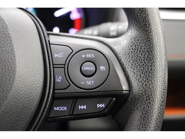 Toyota RAV4 2019-06 9603-12