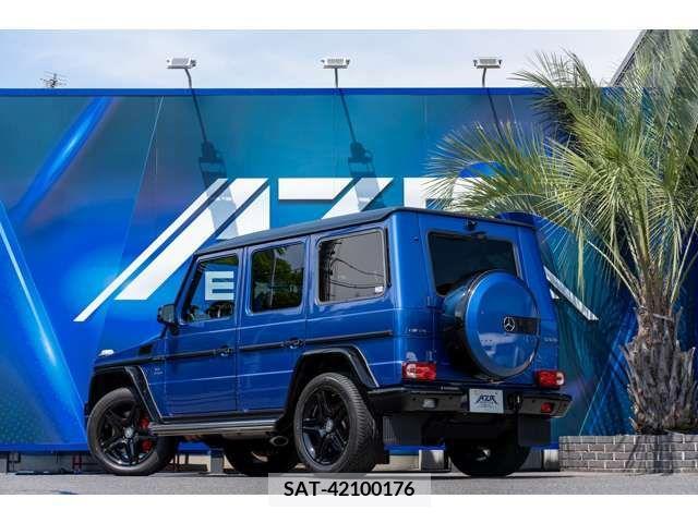 Amg G-CLASS 2017-06 319027-2