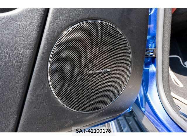 Amg G-CLASS 2017-06 319027-16