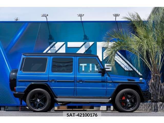 Amg G-CLASS 2017-06 319027-4