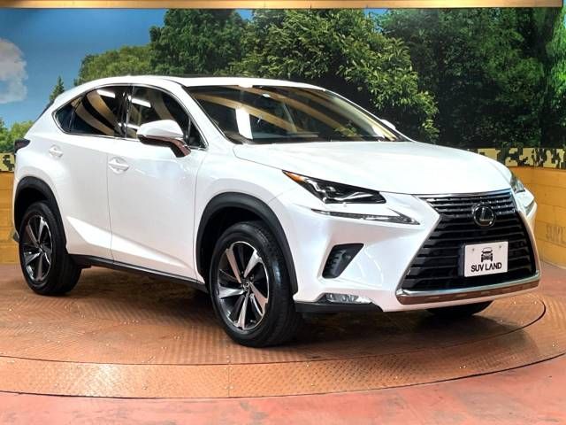 Lexus NX 2017-11 191814-16