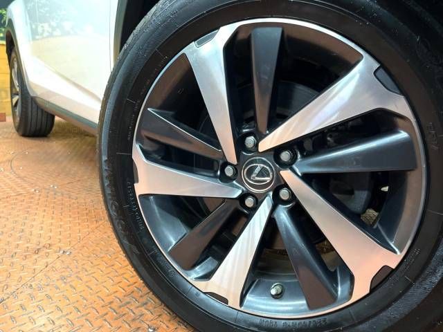 Lexus NX 2017-11 191814-12