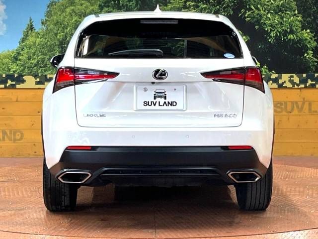 Lexus NX 2017-11 191814-15